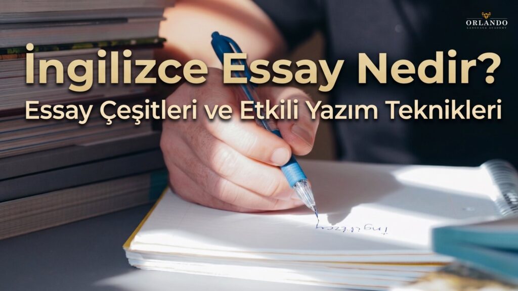 essay introduction nasil yazilir eskisehir
