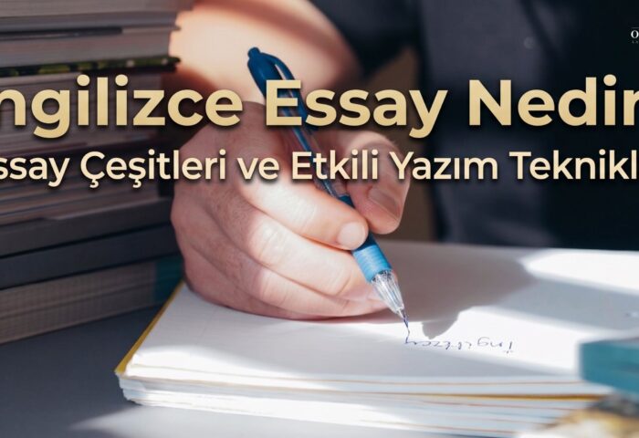 essay introduction nasil yazilir eskisehir